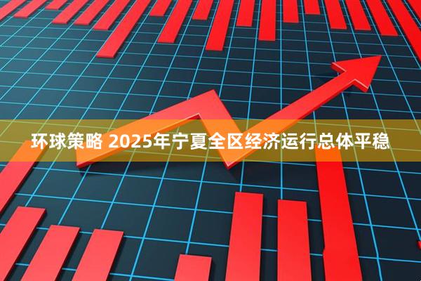环球策略 2025年宁夏全区经济运行总体平稳